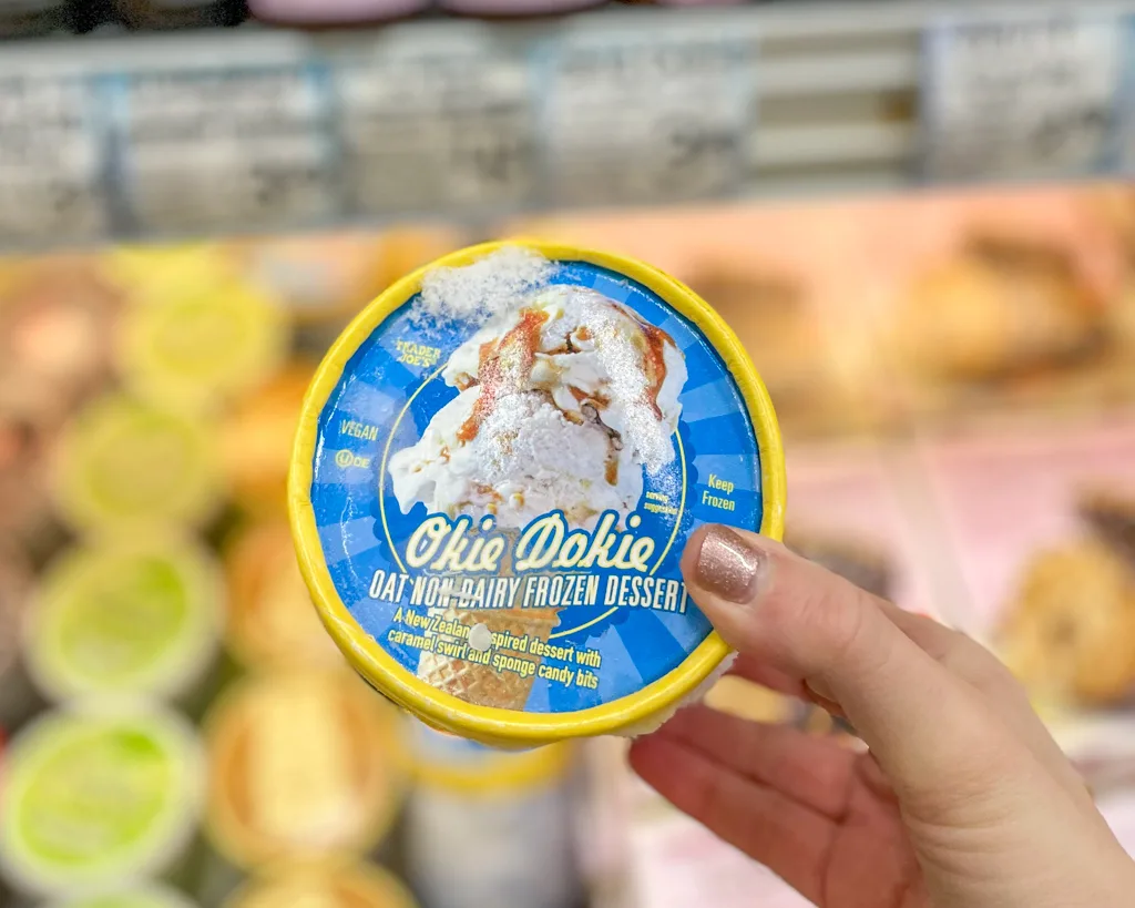 Trader Joe's oat milk ice cream – one of their many awesome dairy-free products!