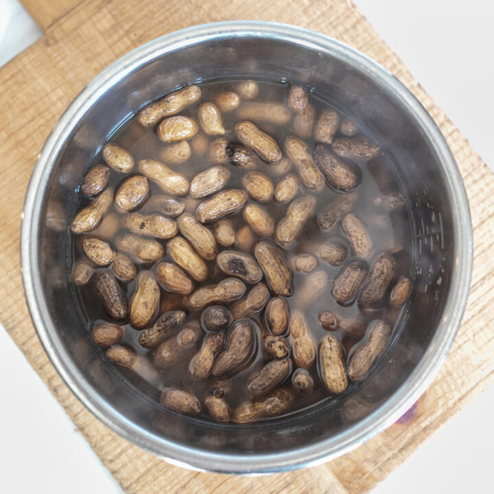 Pot of steaming, freshly cooked Instant Pot Boiled Peanuts