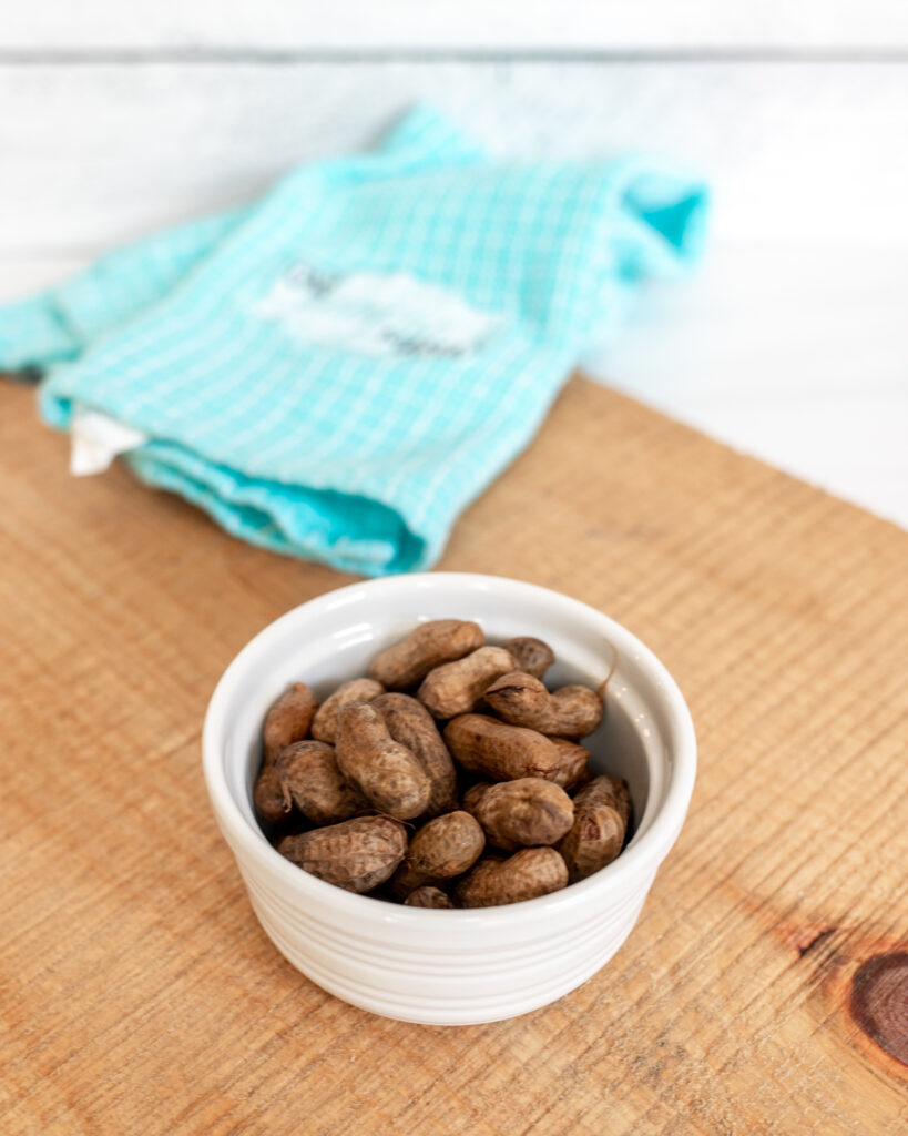 Bowl of Instant Pot Boiled Peanuts
