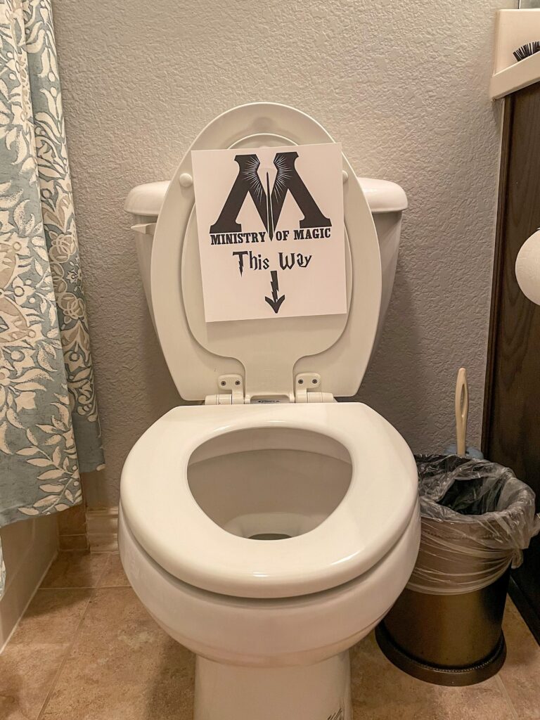 photo of toilet with a sign that says "Ministry of Magic This Way" for Harry Potter Birthday Party Ideas