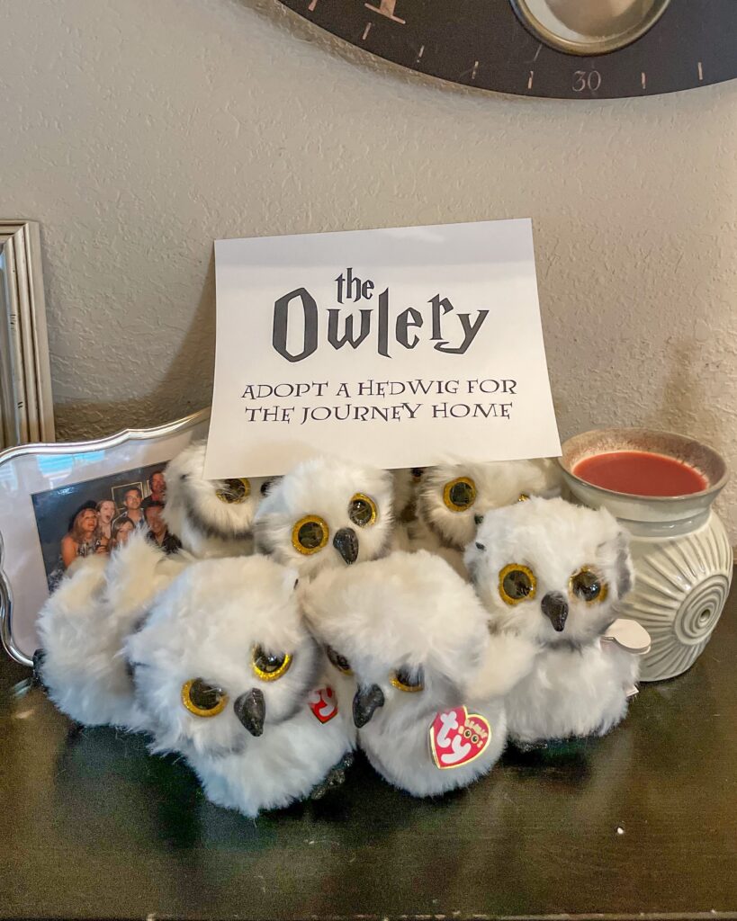 Stuffed Owls with a sign that says "the Owlery - adopt a Hedwig for the Journey home"