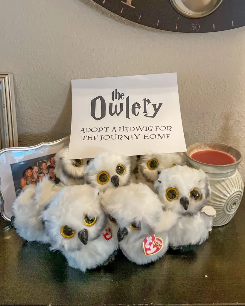 Harry Potter Birthday Party Ideas: The Chosen One - One Hangry Mama