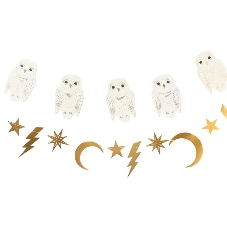 Harry Potter Birthday Party Decoration
