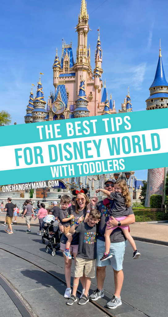 Family in front of Cinderella's Castle with text "The Best Tips for Disney World with Toddlers" overlaid